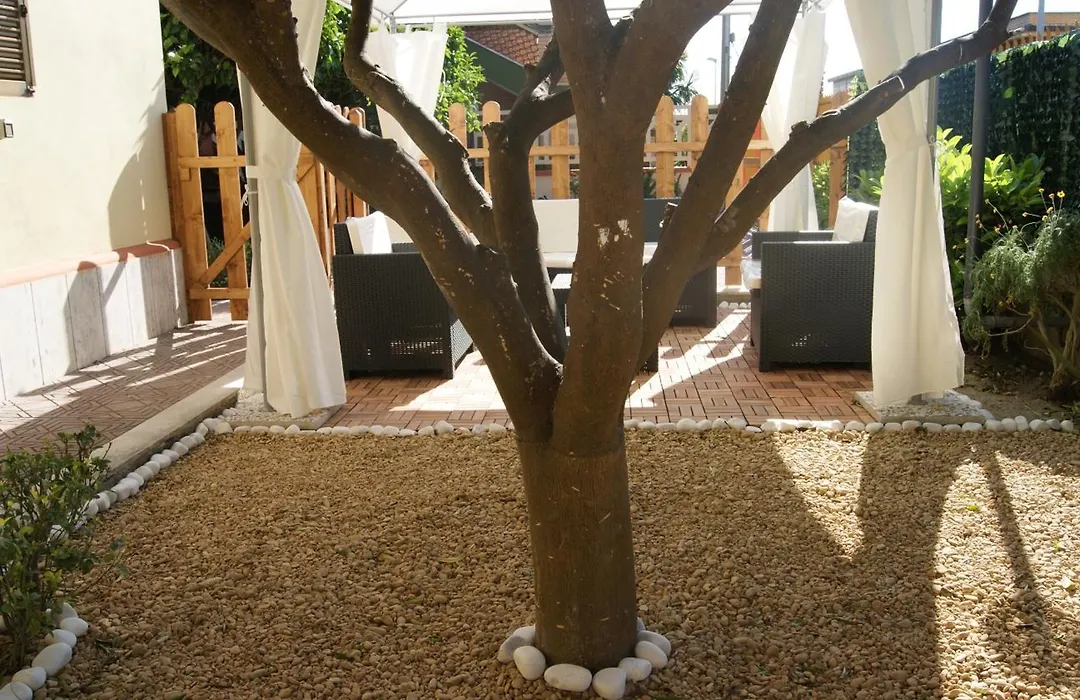 Vegan Inn Airport - Adults Only - Late Check In-1